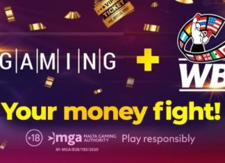 BGaming, World Boxing Council launch game to support WBC Care charity project