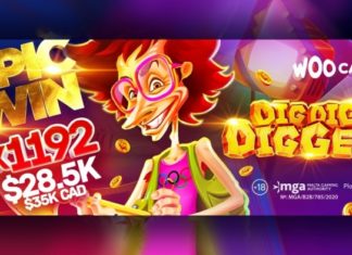 BGaming’s new slot Dig Dig Digger pays out over $28K in a few minutes