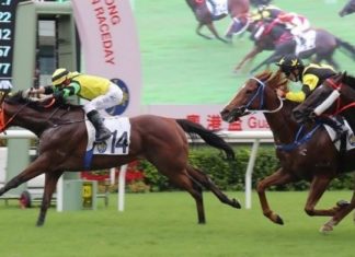 Hong Kong sees all-time record turnover for horse racing betting