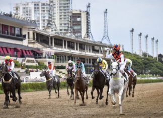 SAGSE announces new Buenos Aires in-person event to close 2021 facing recovery