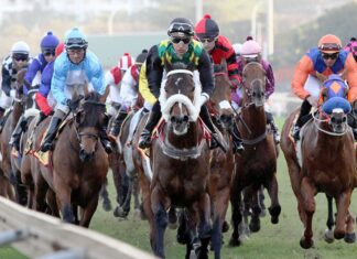 BetMakers to acquire horse racing rating systems provider Punting Form for $1.9M