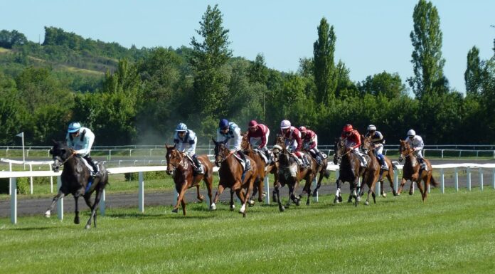 William Hill named as Grand National’s official betting partner