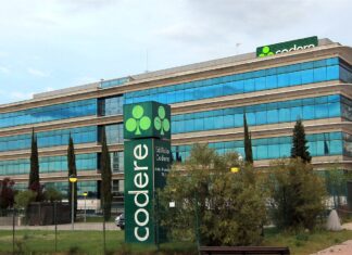 Codere Online CEO Moshe Edree departs after losses reach $49M in 2022; COO Aviv Sher to step up