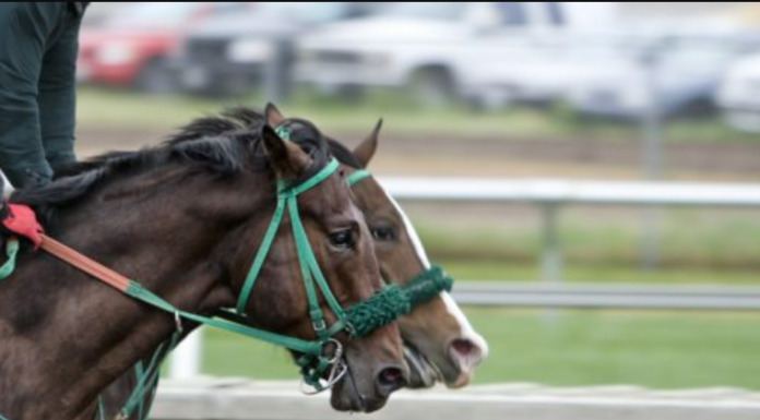 Kentucky sports betting bill heads to governor’s desk