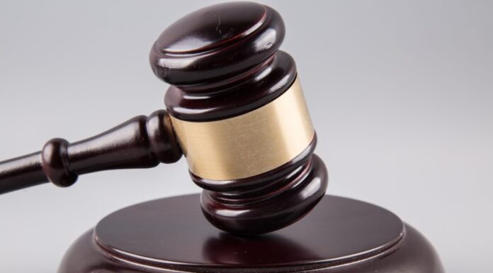 Starlizard launches new online integrity alert system