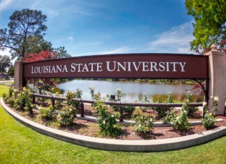 LSU ends Caesars deal as Louisiana moves to ban colleges from promoting sports betting