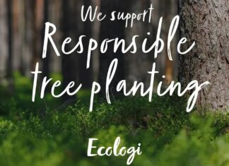 Merkur UK funds the planting of 25,000 trees through its 360 social program