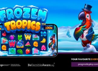 Pragmatic Play launches slots Cyclops Smash and Frozen Tropics, new bingo and live casino products