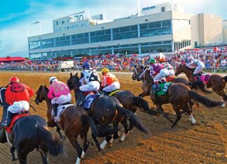 Sports Information Service to sponsor race on Iowa Classic Day at Prairie Meadows Racetrack