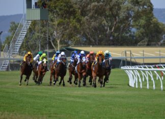 British, Irish and Japanese horse racing industries form committee