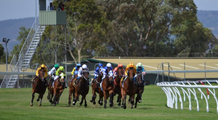 British, Irish and Japanese horse racing industries form committee