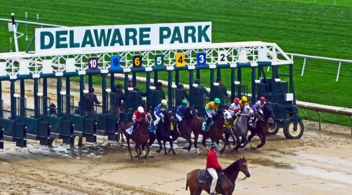 Delaware: Igaming revenue rises in November – sports betting declines