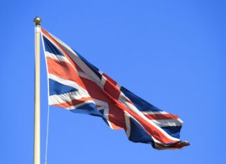 IBIA report displays benefits of liberal regulation on channelisation