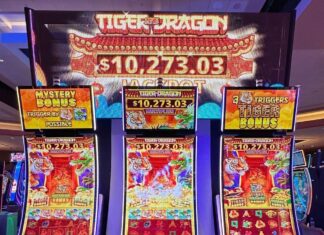 IGT launches new Tiger and Dragon multi-level progressive in the US