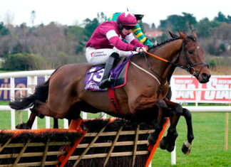William Hill named sponsor of the County Handicap Hurdle at The Cheltenham Festival