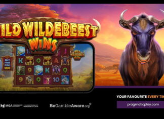 Pragmatic Play unveils new safari-themed slot Wild Wildebeest Wins