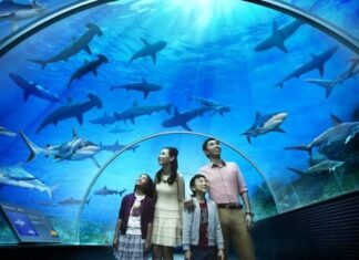 Facing licence review, Resorts World Sentosa counts on $5.3B expansion