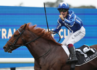 Waterhouse VC: Can AI help new betting syndicates compete, or just improve established sharps?
