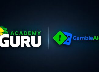 Casino Guru teams up with Gamble Alert Nigeria on safer gambling training