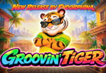 Endorphina launches Caribbean themed-slot Groovin’ Tiger